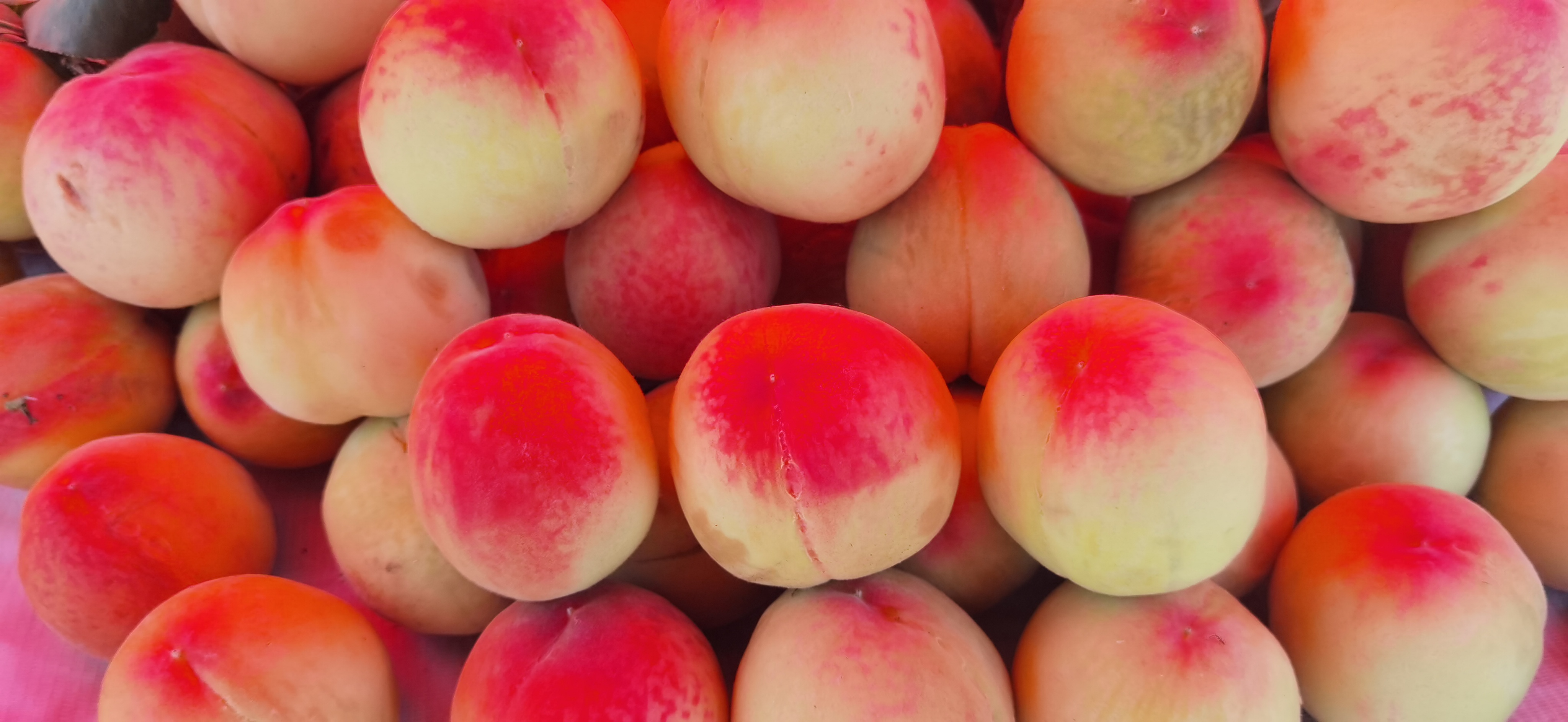 又是一年丰收季湛河区邀您品潘桃