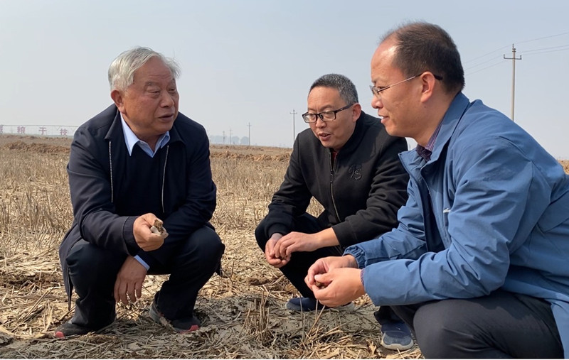 郭天财（左一）和农技人员交流小麦晚播技术。.jpg