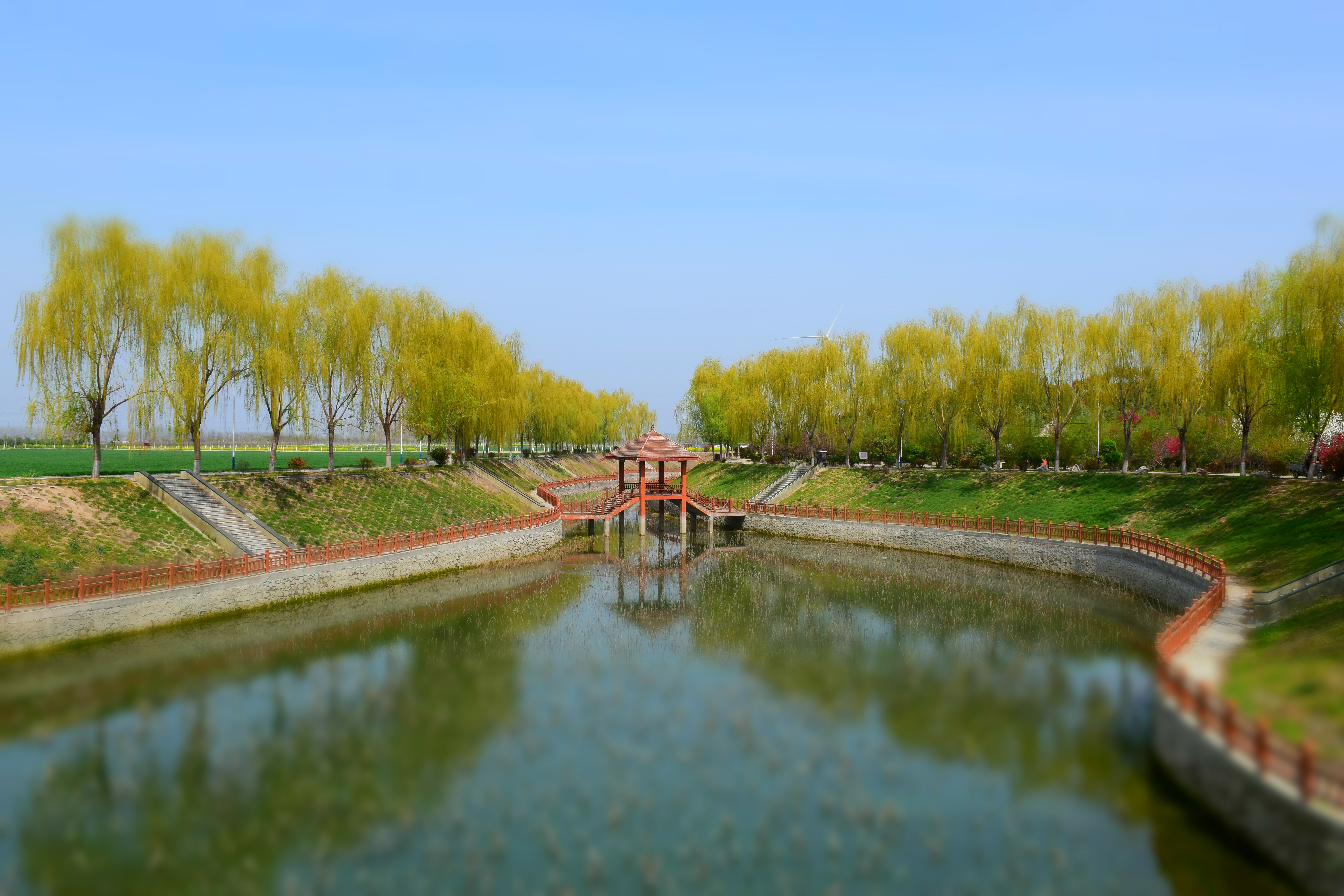 李昊 河南日报社全媒体记者 卢涛3月28日,由周口市委网信办联合西华