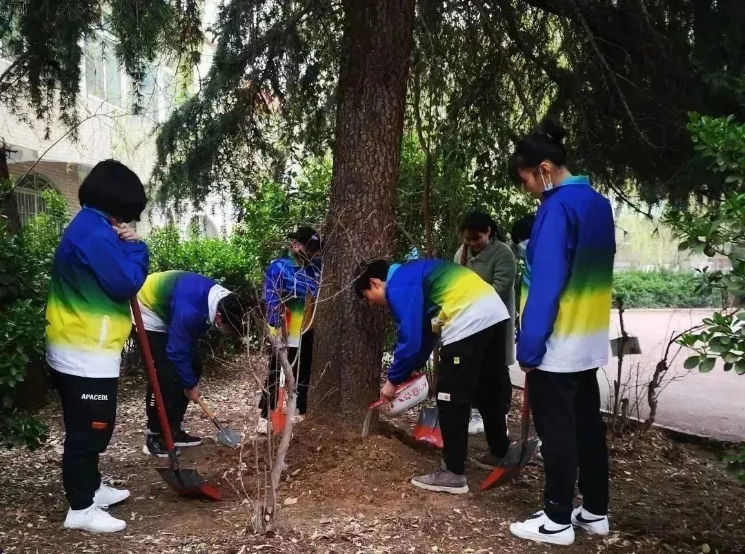 植树节实践活动.jpg