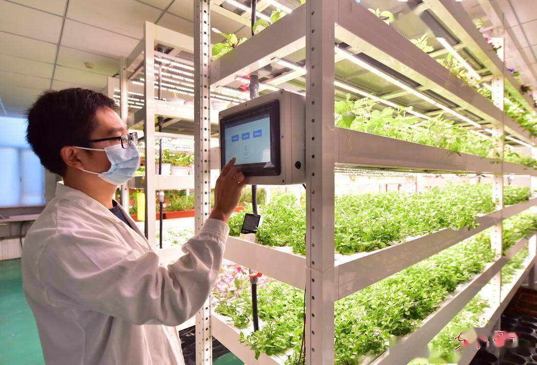 理论视野|以科技创新培育农业新质生产力