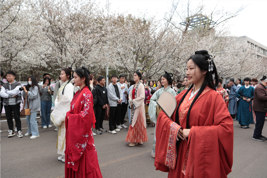 许昌学院樱花节图片