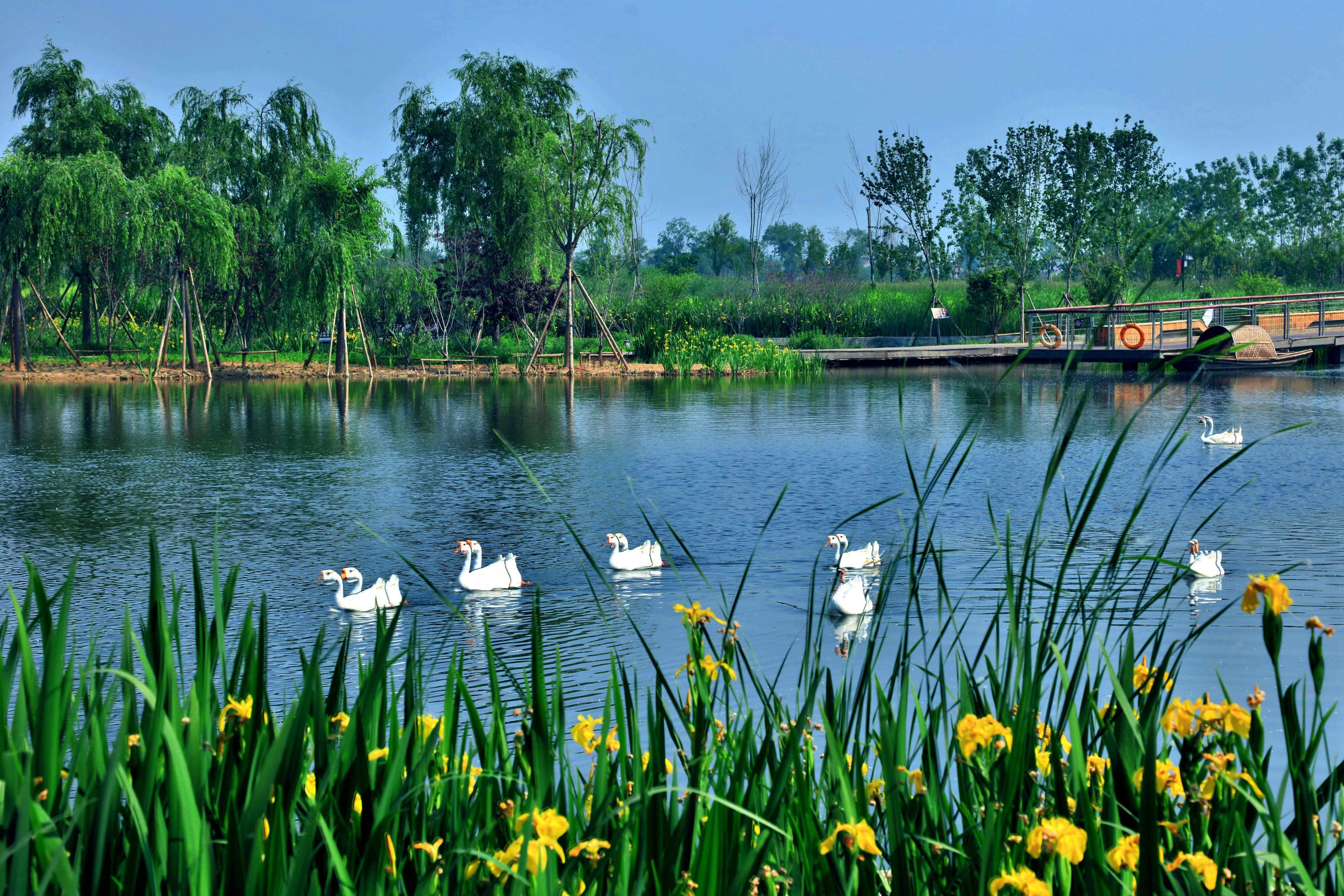 鹤壁:覆水亦能收 再生润鹤城