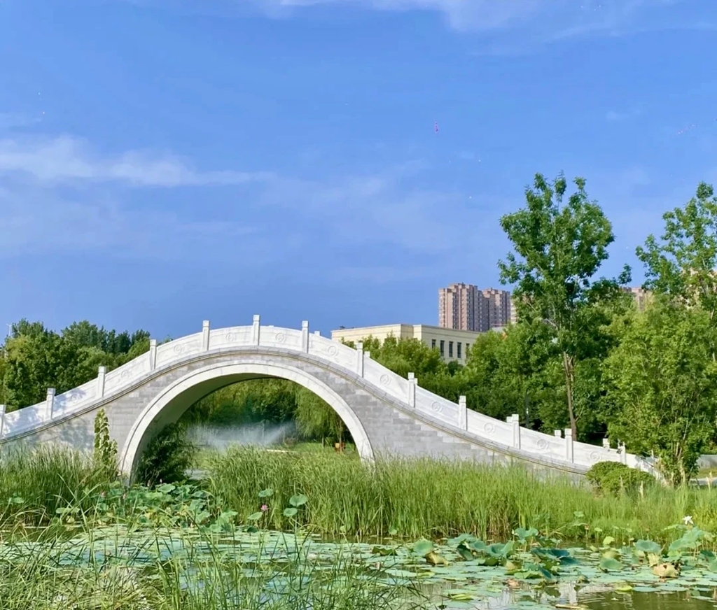 小南湖湿地公园_副本.jpg