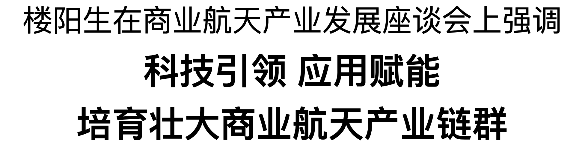 楼阳生主持召开商业航天产业发展座谈会