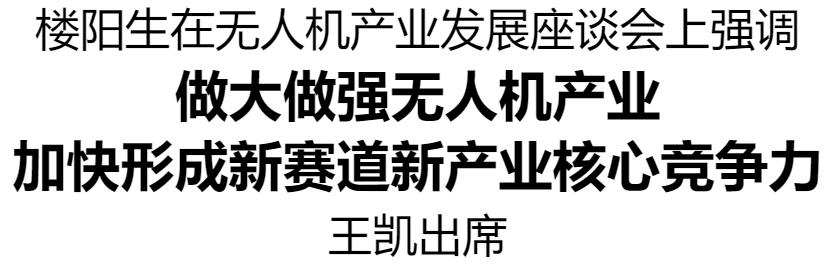 樓陽生主持召開無人機產業(yè)發(fā)展座談會