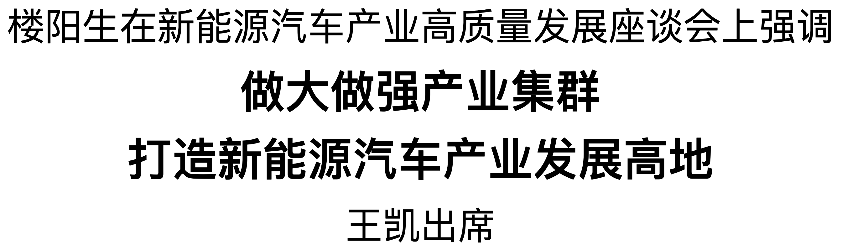 楼阳生主持召开新能源汽车产业高质量发展座谈会