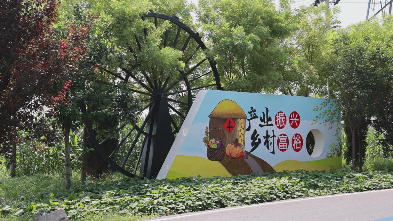 地制宜,把资源优势转化为发展优势,突出"一村一品",打造乡村特色产业