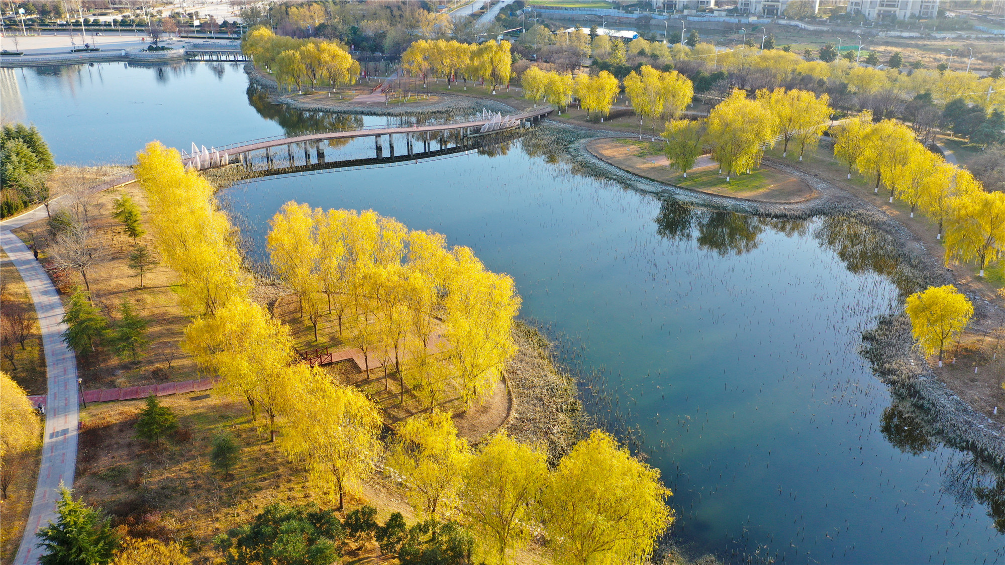 许昌芙蓉湖冬日斑斓 景色迷人宛如画卷