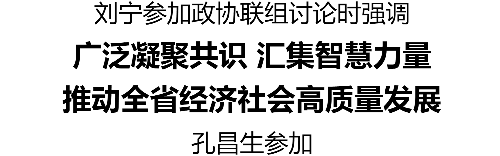 劉寧參加政協(xié)聯(lián)組討論