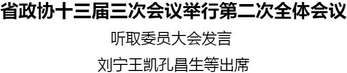 省政協(xié)十三屆三次會議舉行第二次全體會議