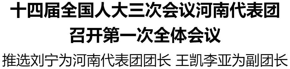 十四屆全國(guó)人大三次會(huì)議河南代表團(tuán)召開(kāi)第一次全體會(huì)議