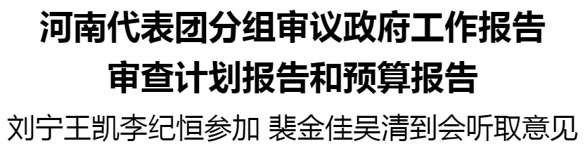 河南代表團(tuán)分組審議政府工作報告 審查計劃報告和預(yù)算報告