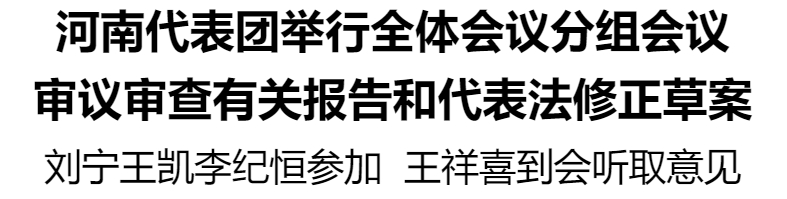 河南代表團(tuán)舉行全體會(huì)議分組會(huì)議