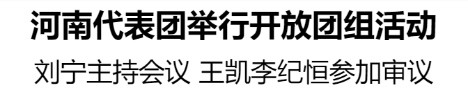 河南代表團(tuán)舉行開(kāi)放團(tuán)組活動(dòng)