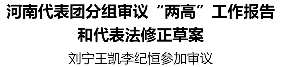 河南代表團分組審議“兩高”工作報告和代表法修正草案