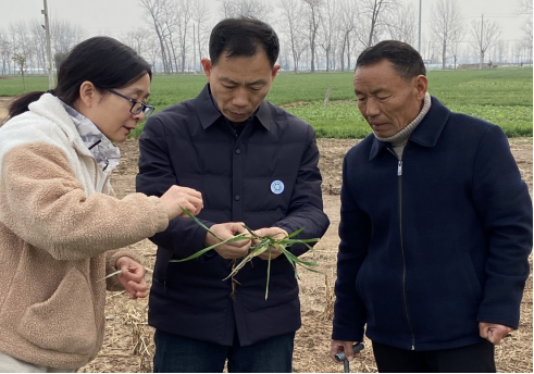 人勤春來早，河南省科技特派員服務隊下鄉(xiāng)指導春耕備播