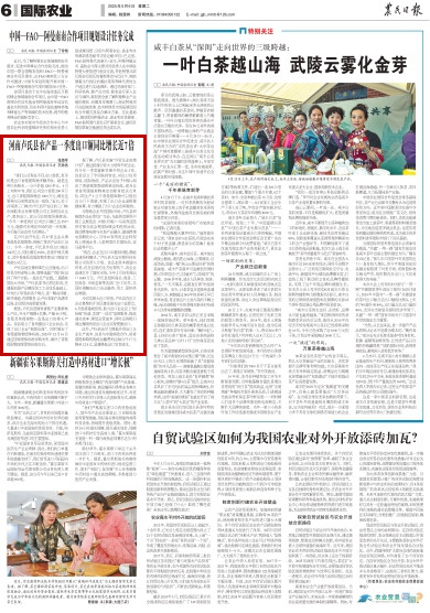 央媒观豫 | 河南卢氏县农产品一季度出口额同比增长近7倍