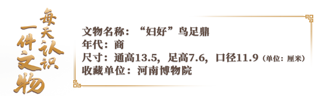 央媒觀豫丨三只小鳥挑戰(zhàn)“不可能完成的任務(wù)”
