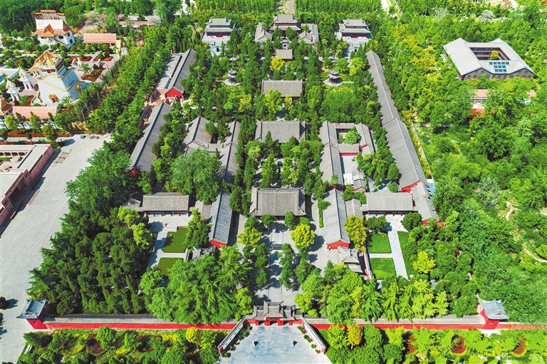 白马1.jpg