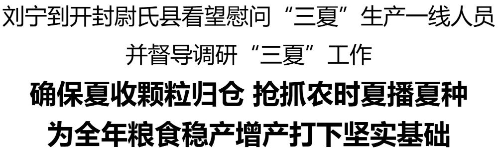 劉寧到開封尉氏縣看望慰問“三夏”生產一線人員并督導調研“三夏”工作