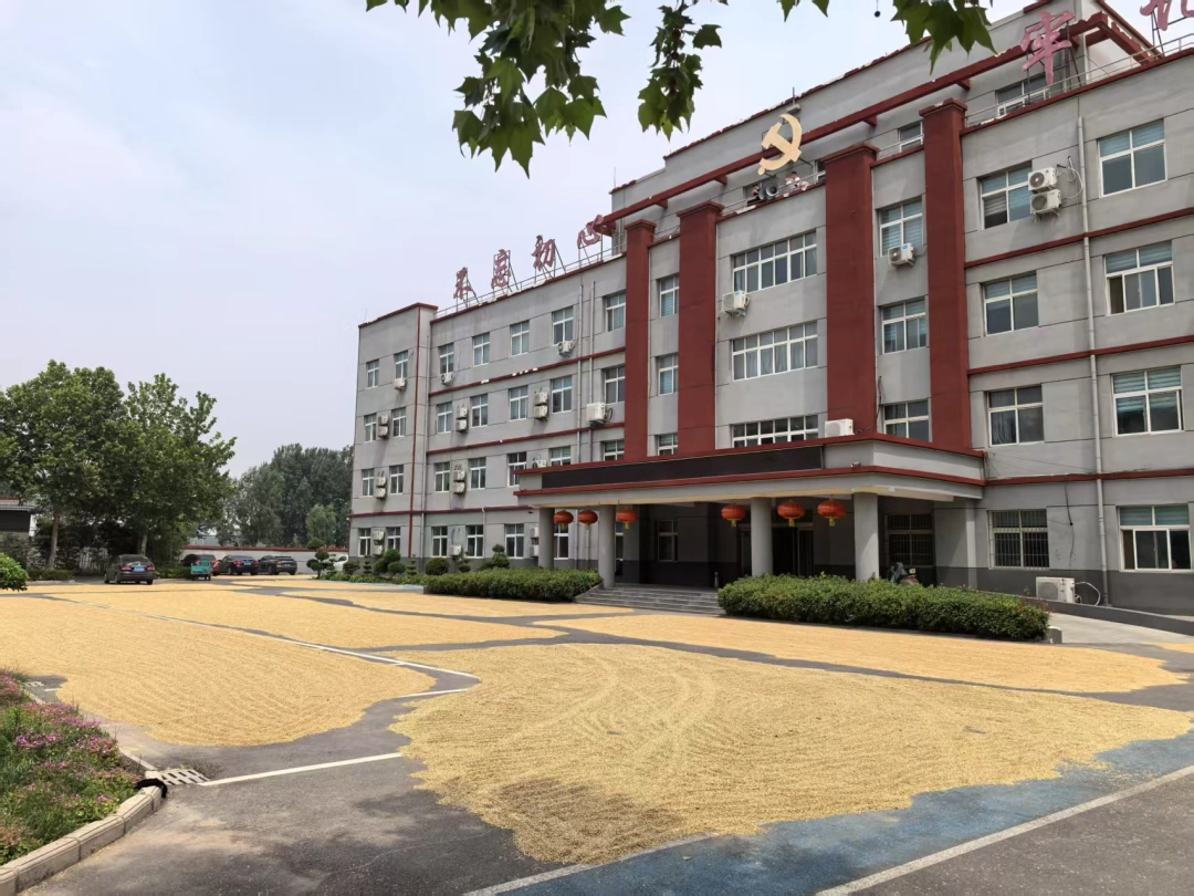 河南一鄉(xiāng)政府連續(xù)3年開放大院給村民曬糧：農(nóng)機(jī)手免費就餐，會持續(xù)開放到麥?zhǔn)战Y(jié)束