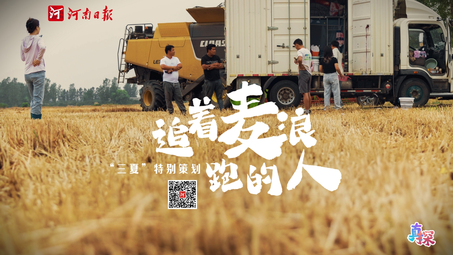 “三夏”特別策劃·真探 | 追著麥浪跑的人