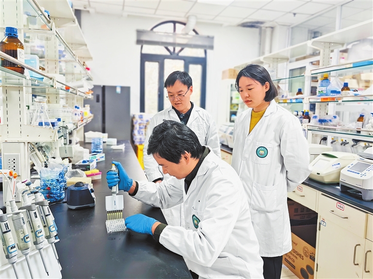總編有約·“兩高四著力”調(diào)研行③ | 教育+科技+人才=？