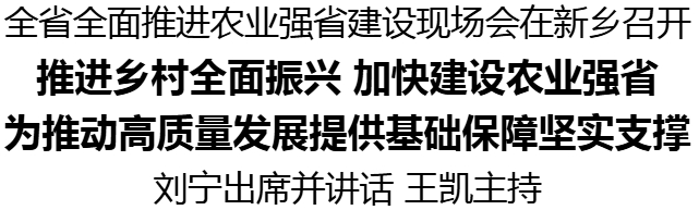 全省全面推進(jìn)農(nóng)業(yè)強(qiáng)省建設(shè)現(xiàn)場會在新鄉(xiāng)召開
