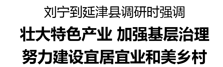 劉寧到延津縣調(diào)研