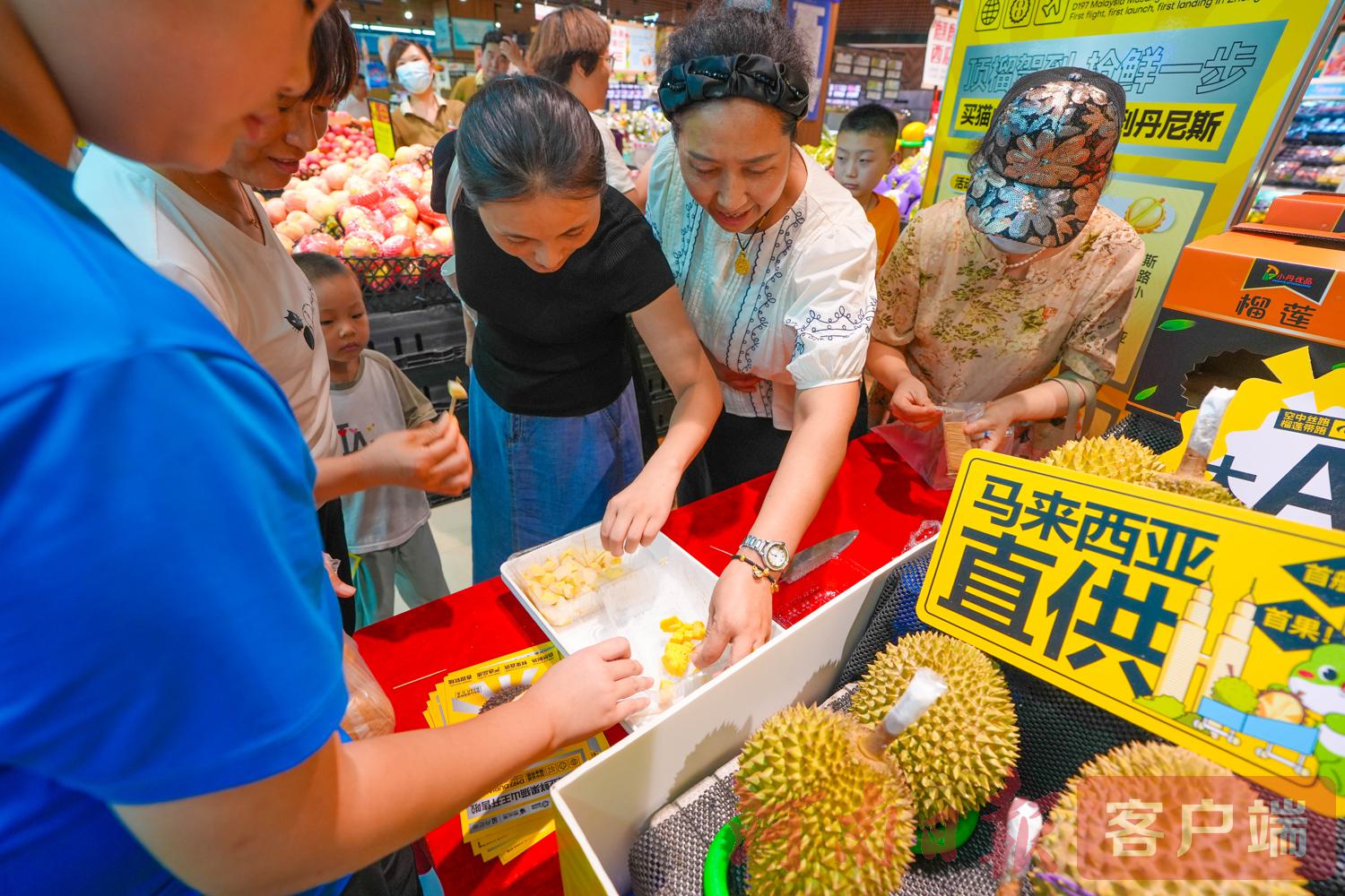 temp1763370609.36.jpg temp1763370609.36.jpg