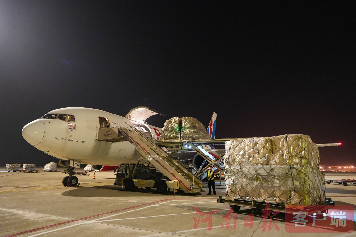 temp1763369383.27.jpg temp1763369383.27.jpg