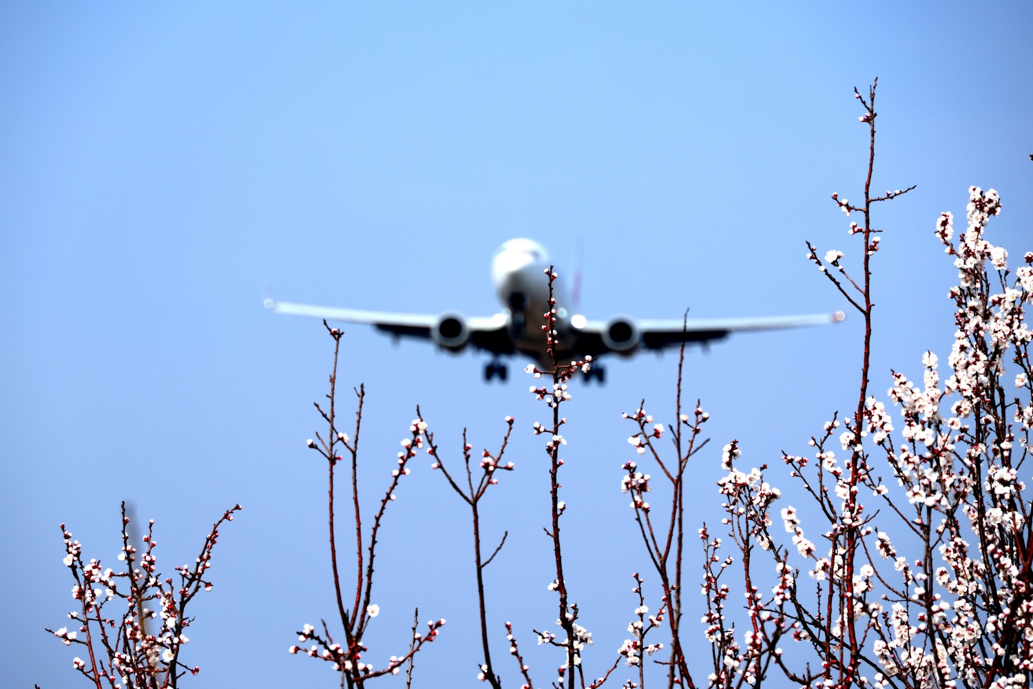 4492184122731145 4492184122731145