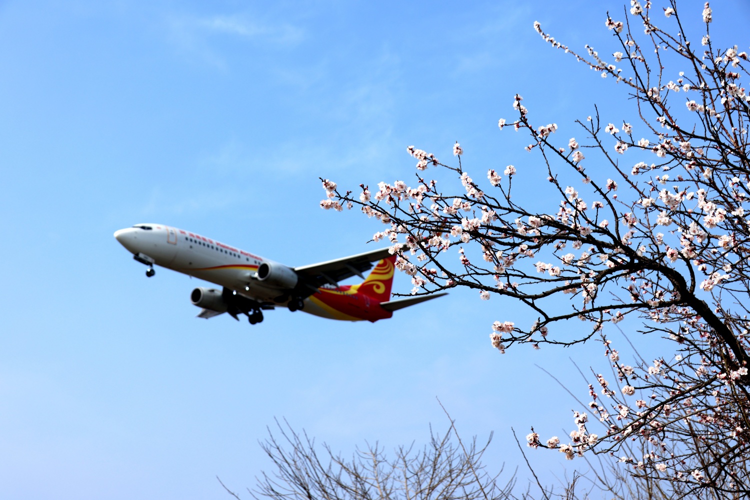 34911198875187465 34911198875187465